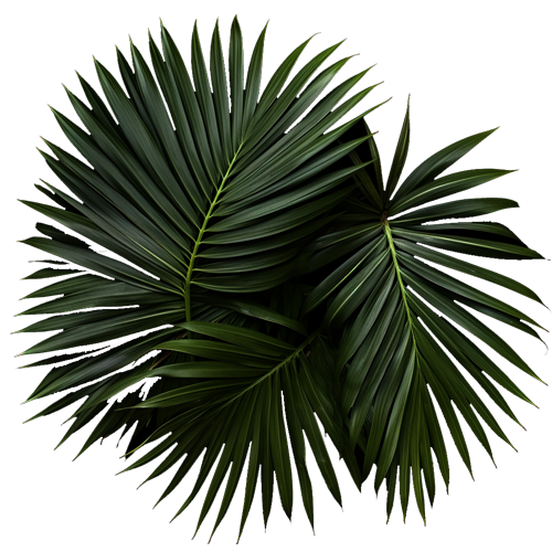 Pink Rabbit Dinner Show – Restaurant Bar Club Zurich – Die einzigartige ...